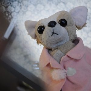 Meet your Posher, Chicha - Hola Amigos